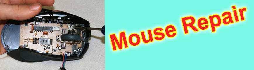 Mouse Repair Shop
